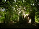 Planina (Dolnja Planina) - Hunting cottage on Planinska gora